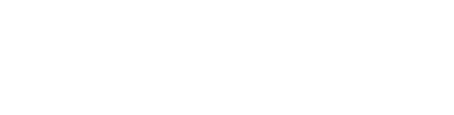 logo-bondioli-y-pavesi