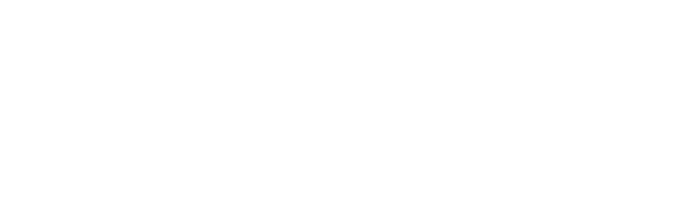 logo-lapiña